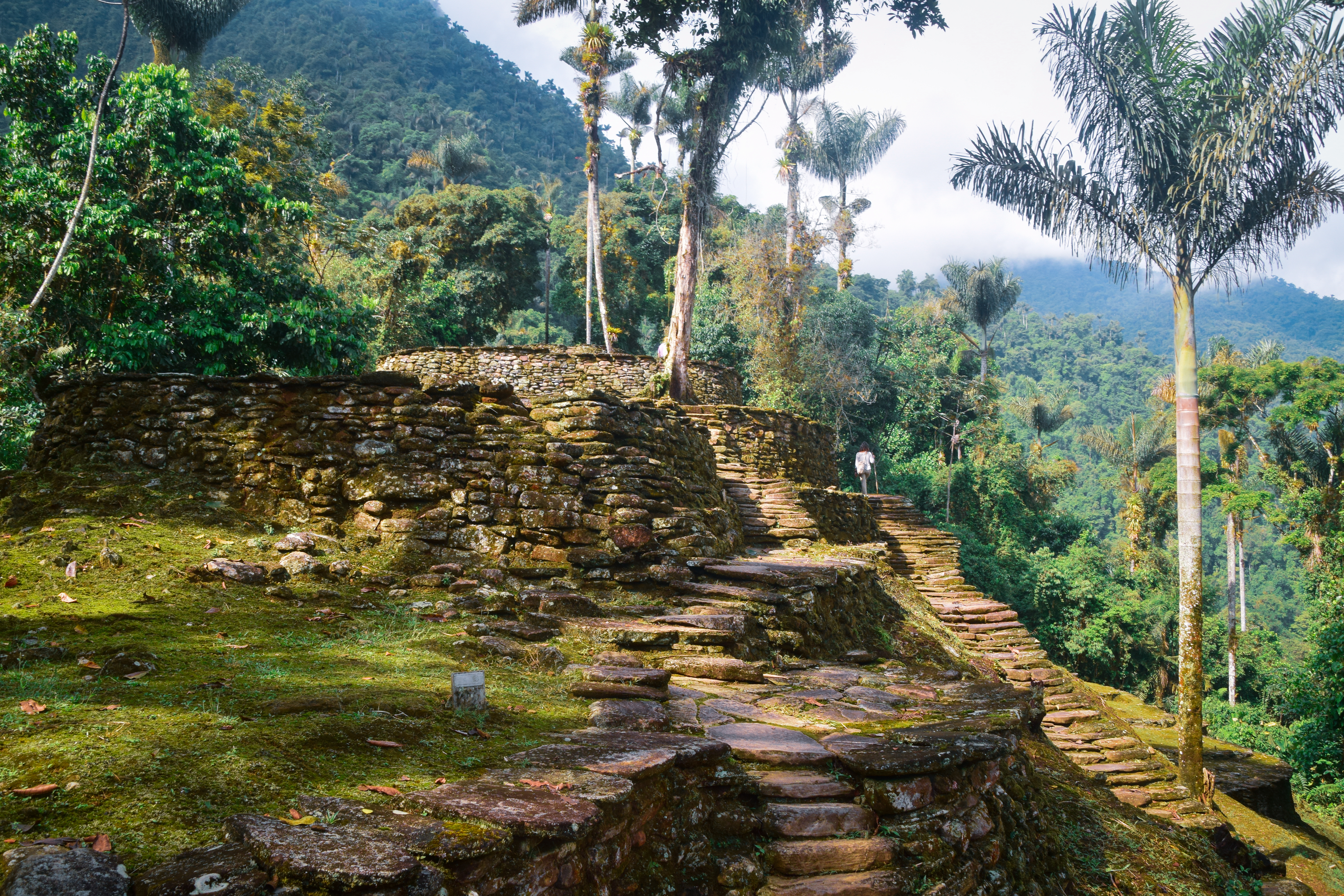 Ciudad Perdida - The Lost City, Colombia 2024